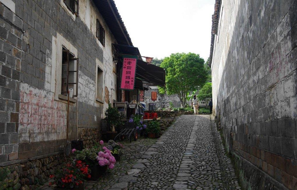 组装机械章鱼龙